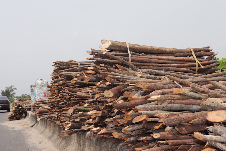 Logged mangrove timber sold by the side of the road. Image by Orji Sunday for Mongabay.