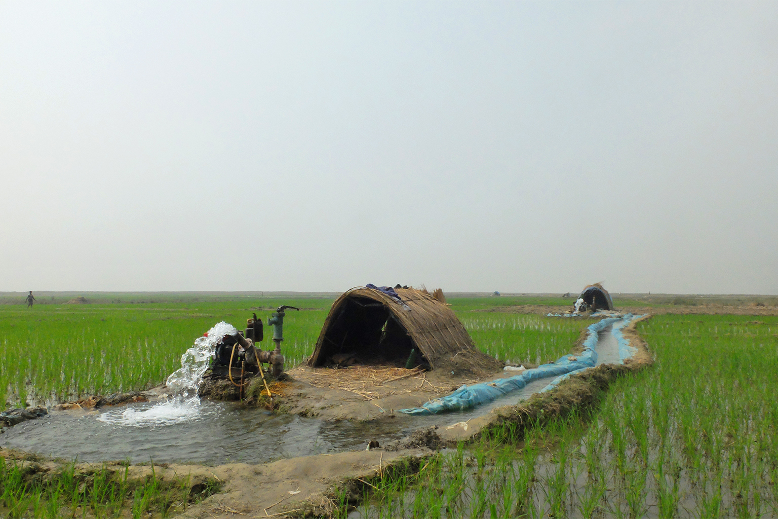 About 77% of Bangladesh's irrigation needs are met by groundwater sources