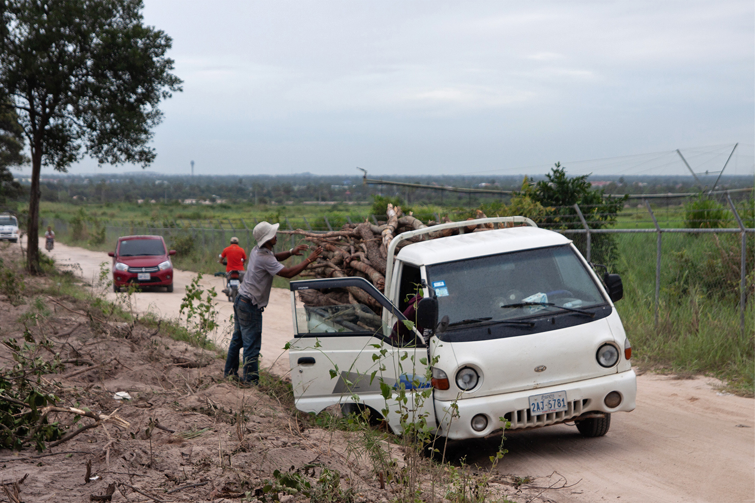 Local residents descended on Phnom Tamao to salvage trees.