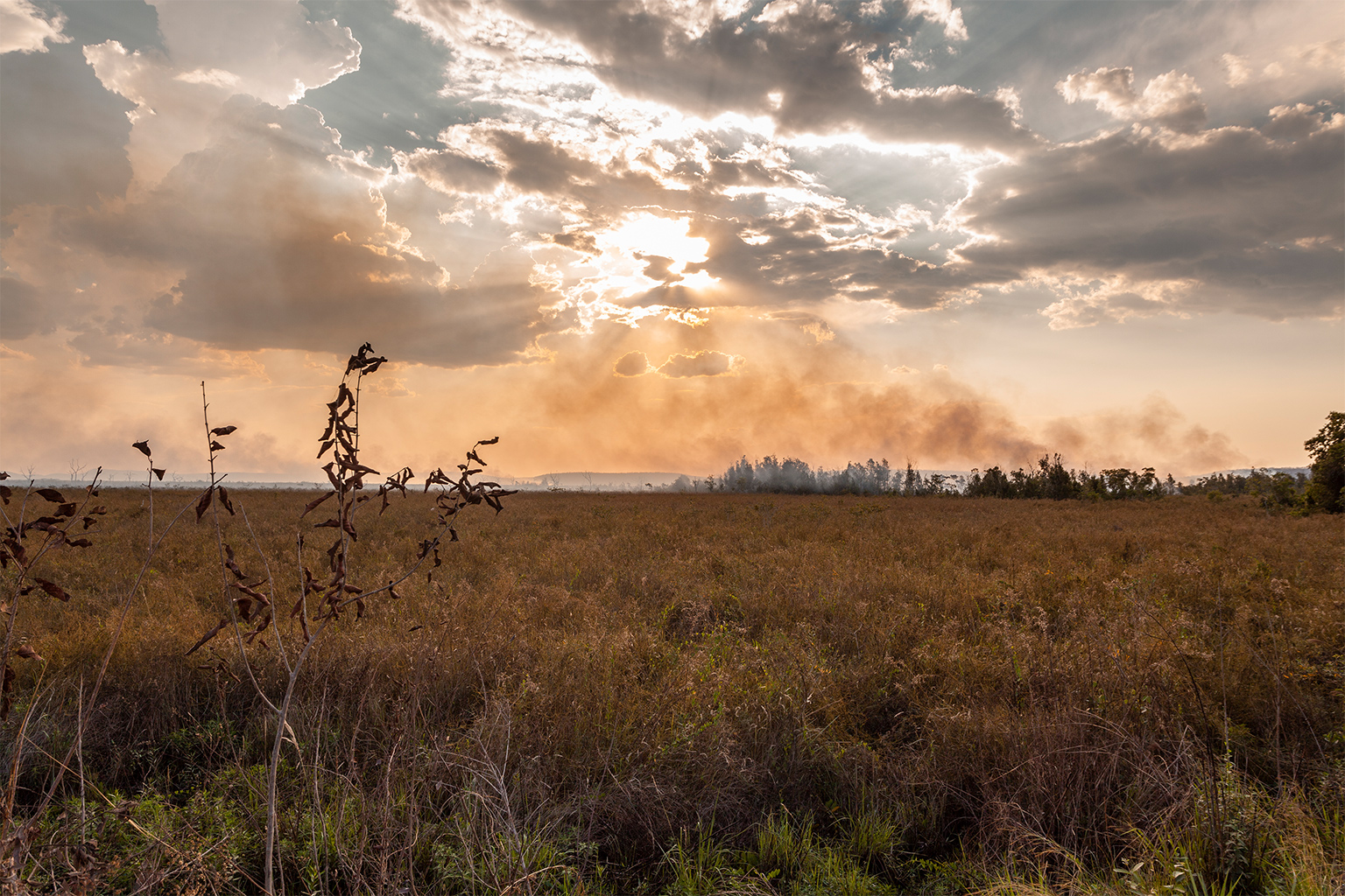 Smoke drifts across the horizon as fires tear through dry vegetation in the Pantanal.