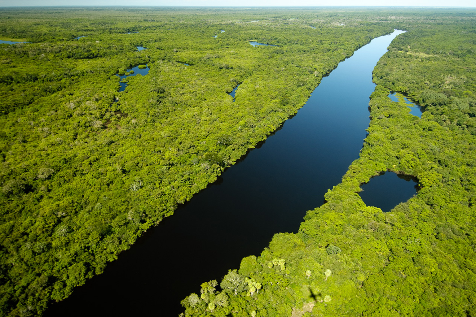 A river in Pantanal.
