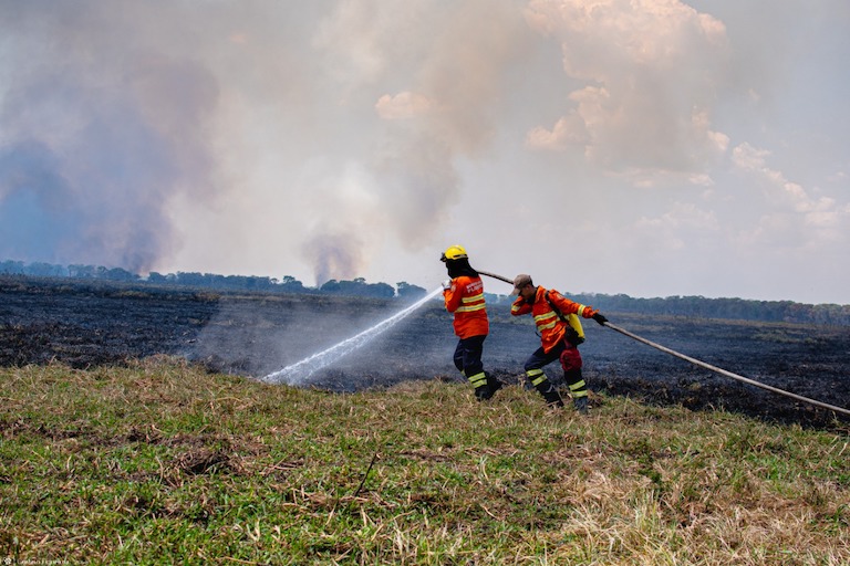 Firefighters battle a blaze in the Pantanal. Image by Gustavo Figueiroa/SOS Pantanal.