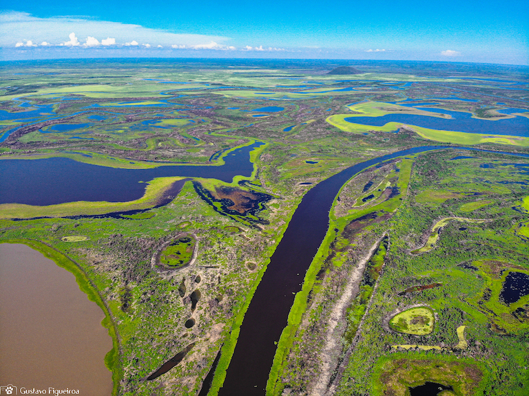 The Pantanal stretches across some 195,000 square kilometers (75,290 square miles) of southwestern Brazil and eastern Bolivia. Image by Gustavo Figueiroa/SOS Pantanal.