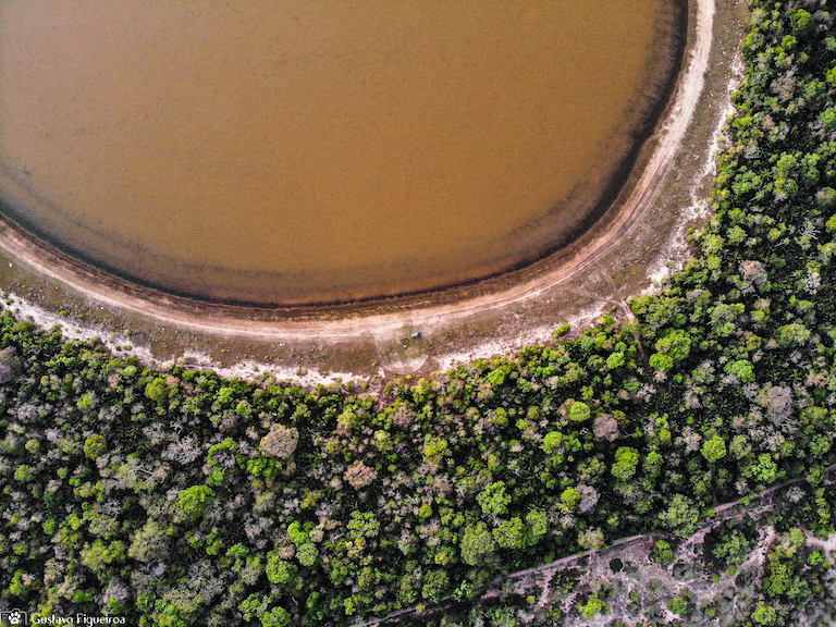 The Pantanal has suffered a series of punishing droughts in recent years, which has fueled devastating fires across the region. Image by Gustavo Figueiroa/SOS Pantanal.