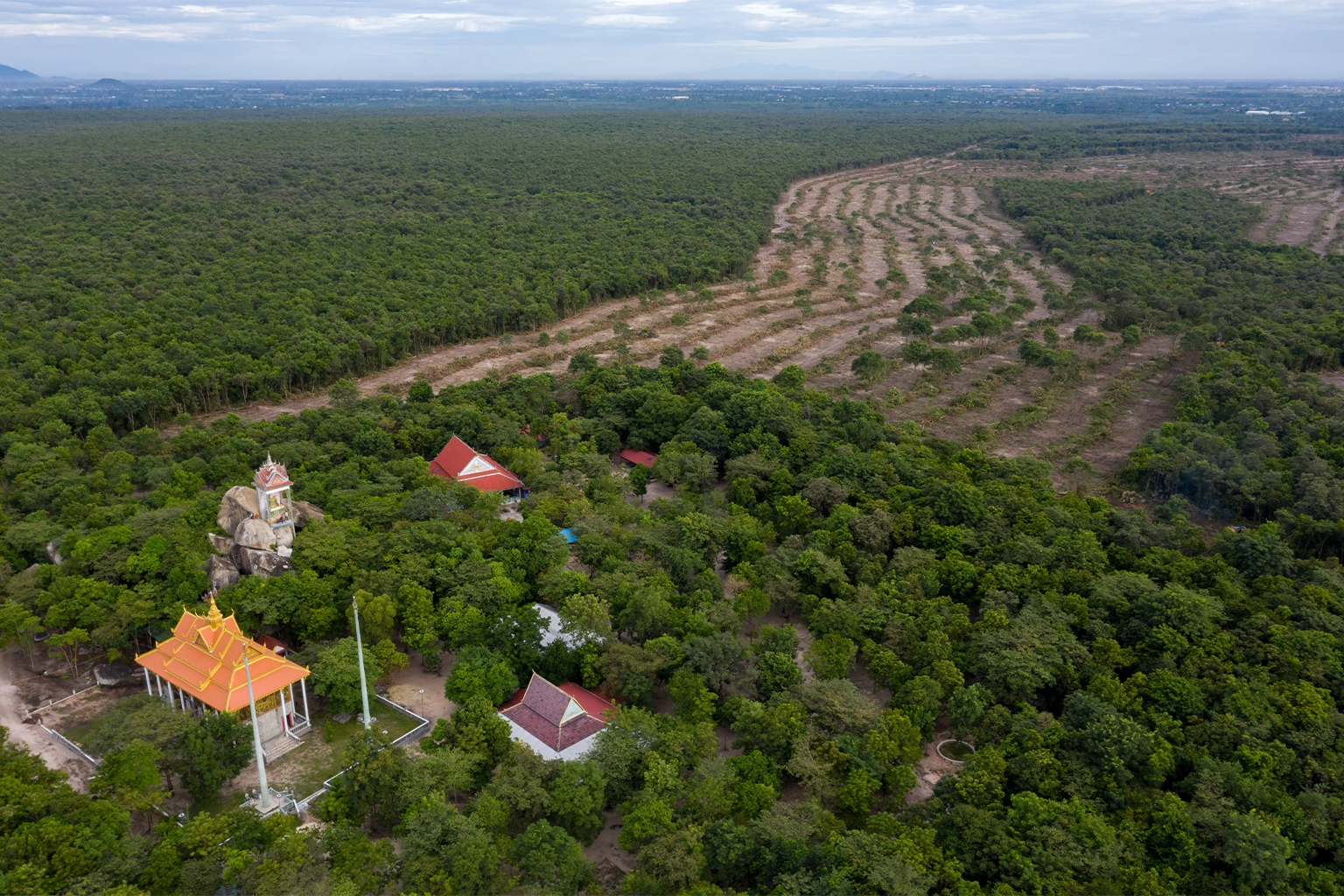 The forest clearing was called off before excavators reached Thma Ontong Pagoda