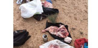Vanwyksvlei farm burgled, sheep slaughtered, 3 arrested Vanwyksvlei farm burgled, sheep slaughtered, 3 arrested