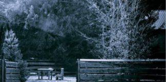 Full moon: Attackers are lurking in the shadows – Raise the alarm, don’t go outside!