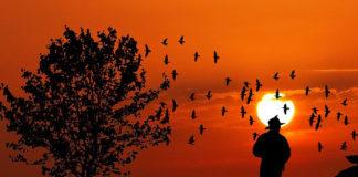 Farm attack, swift response by farmers saves victim, 5 arrested, Broodsnyersplaas