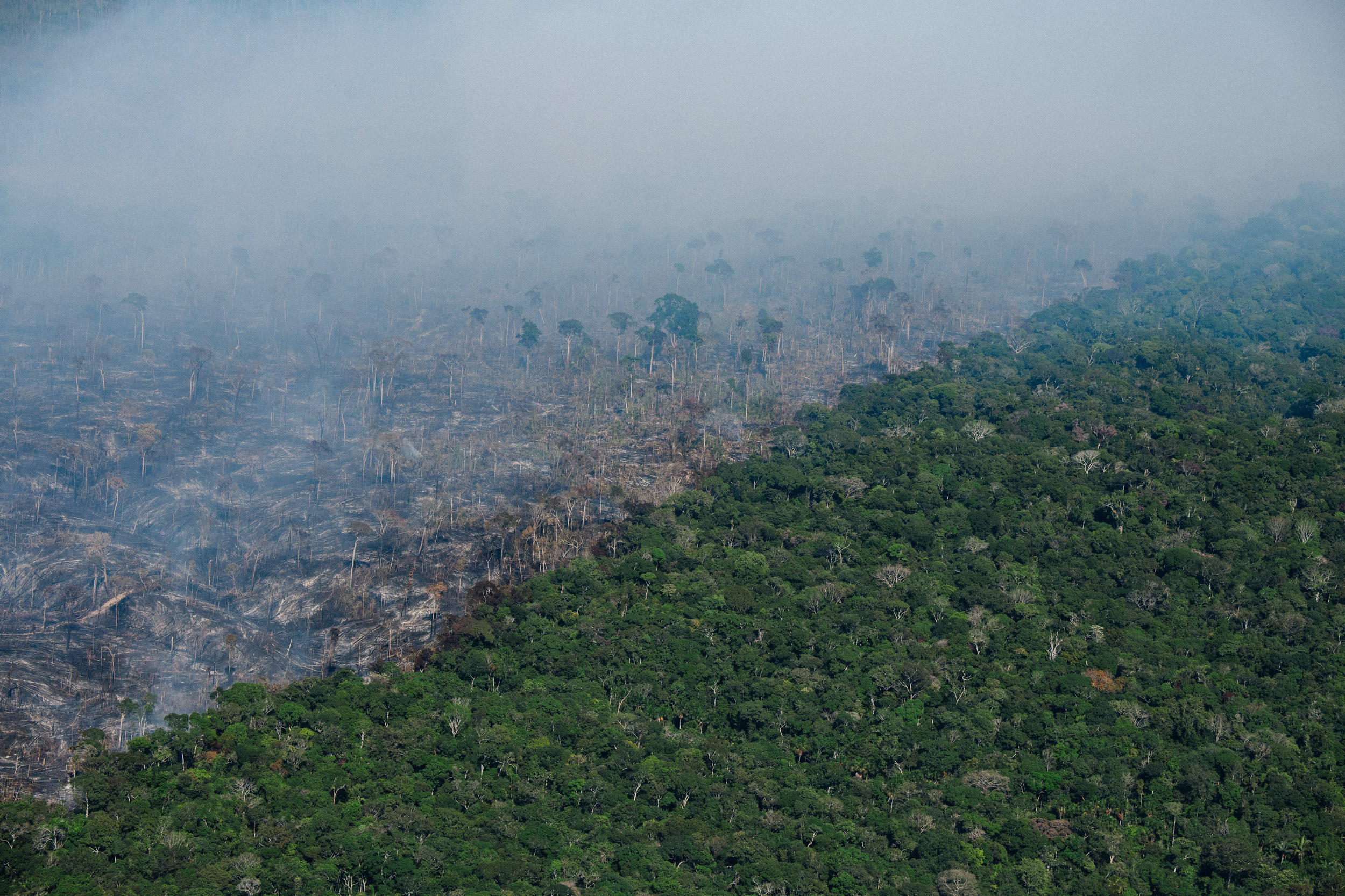 Novo Aripuanã, Amazonas state. Greenpeace Brazil flew over the southern Amazonas and northern Rondônia states in Brazil to monitor deforestation and forest fires in the Amazon in July 2022. © Christian Braga / Greenpeace
