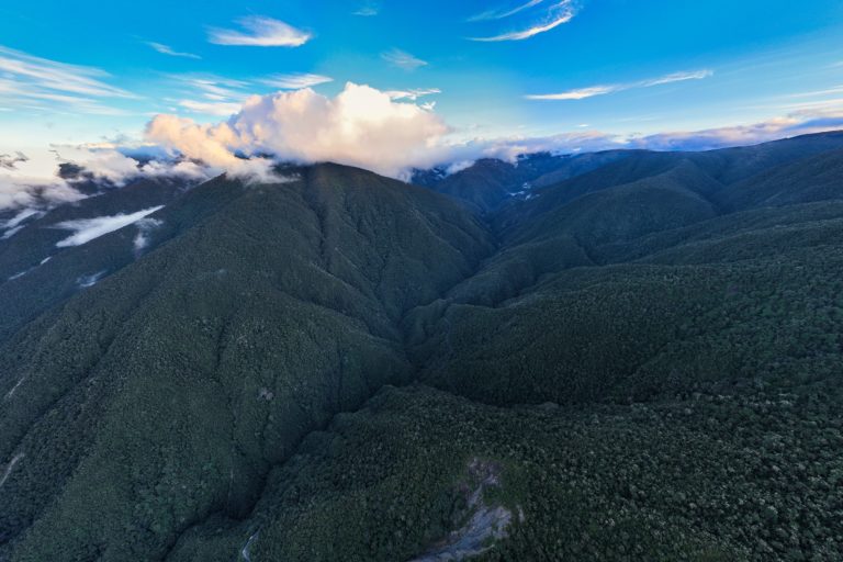 A view of where the Andes meet the Amazon in Peru's Kosñipata valley. Image credit: Rhett A. Butler
