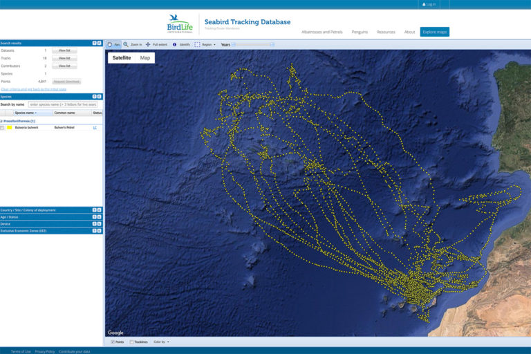 BirdLife's seabird tracking database showing activity for Bulwer's Petrel. Image credit: BildLife International