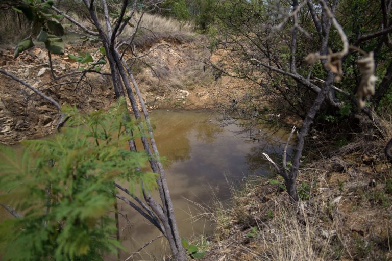 A water pan located in Josefina Santiago agroecological farm. It still has some water collected during the last light rains. El Porvenir, San José del Progreso, Oaxaca, Mexico, May 2022, Monica Pelliccia
