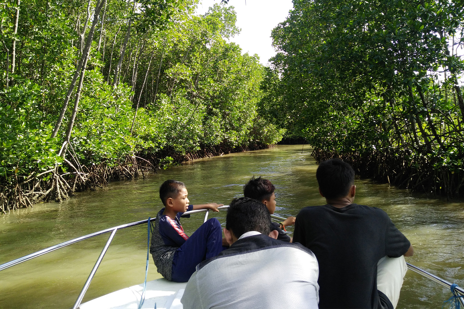 Visitors in the mangrove forest.