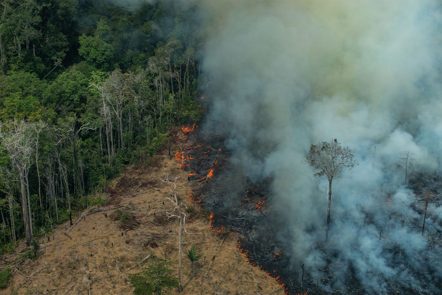 Fire in Amazon.
