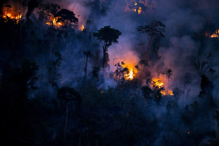 Fire near the Manicoré River in Amazonas state in August 2022. Photo © Christian Braga / Greenpeace