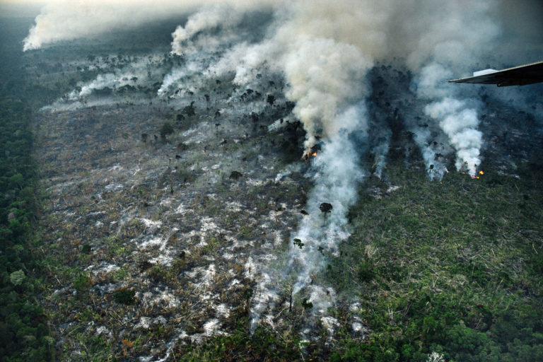 Fire near the Manicoré River in Amazonas state in August 2022. Photo © Christian Braga / Greenpeace