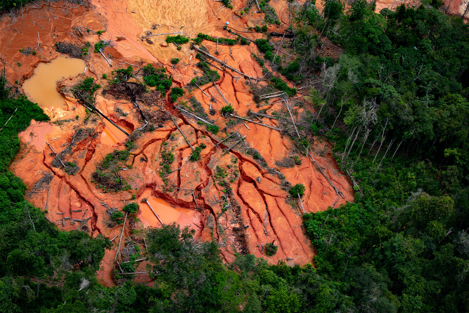 Illegal mining within the Yanomami Indigenous Territory