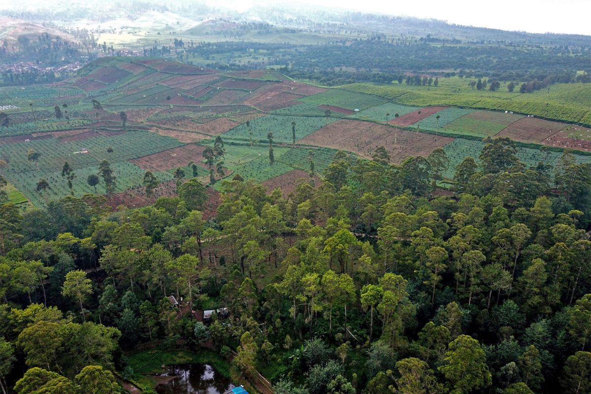 The Citarum’s upstream watershed