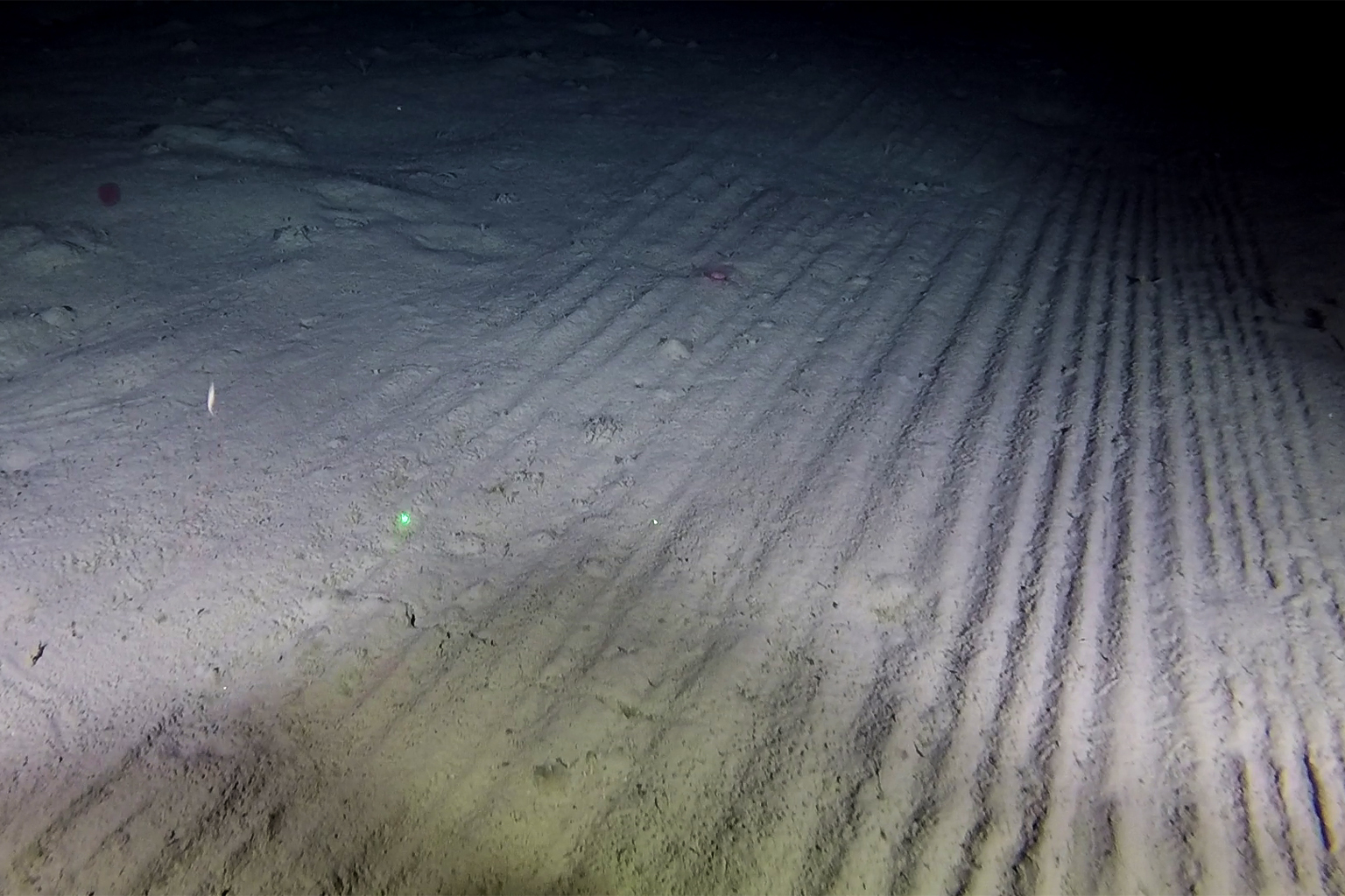 Marks on the sea floor caused by deep-sea fish trawling.