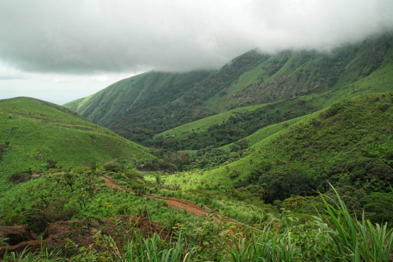 Mount Nimba Strict Nature Reserve across the Liberian border in Guinea, 2007. Guy Debonnet for UNESCO.
