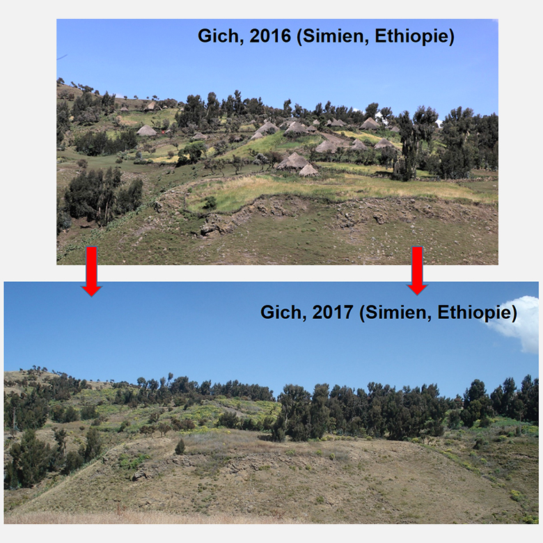 Simien National Park before and after eviction