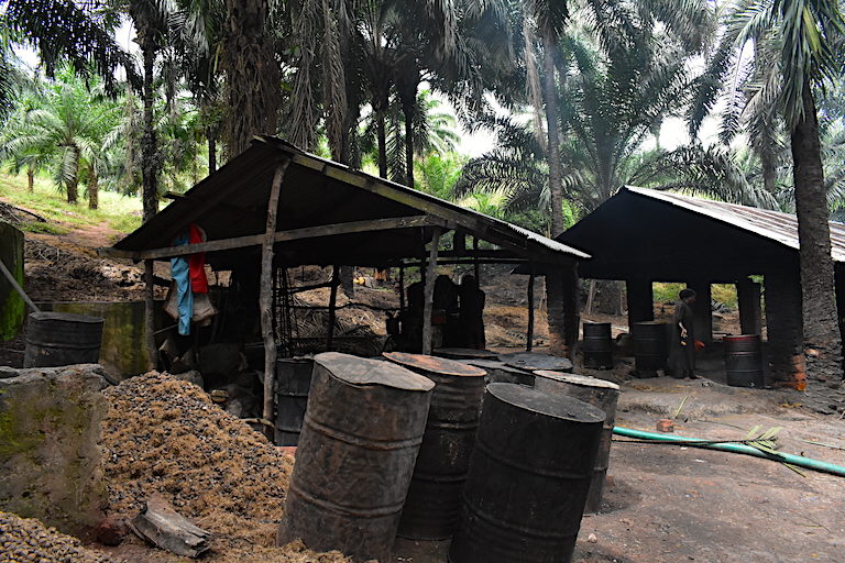 Chemical runoff from artisanal oil palm plantations can wreak havoc on the health of Lake Tanganyika. Photo by Robert Bociaga for Mongabay.
