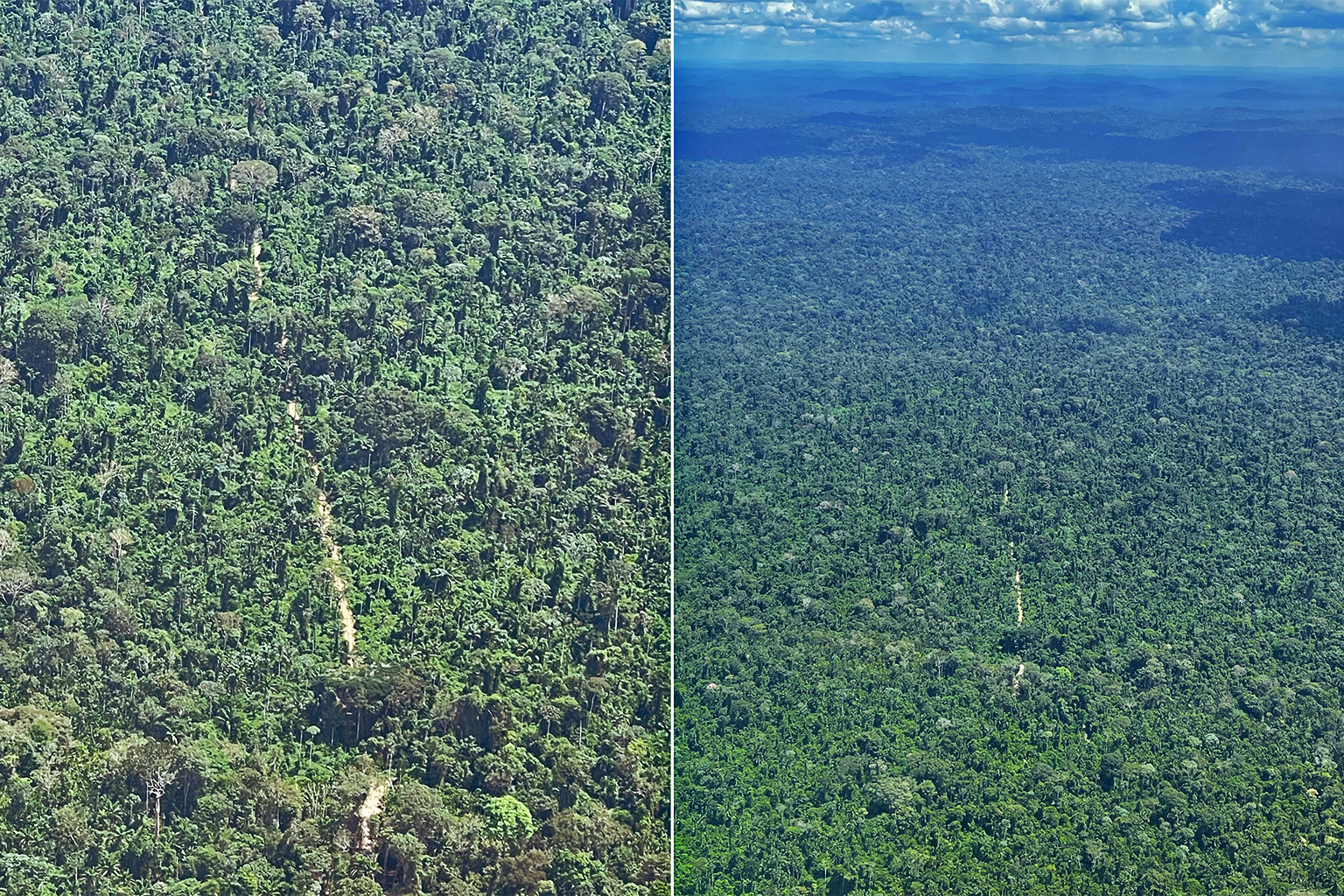 Roads through Xingu.