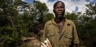 Bringing people virtually to Africa’s bushmeat hubs