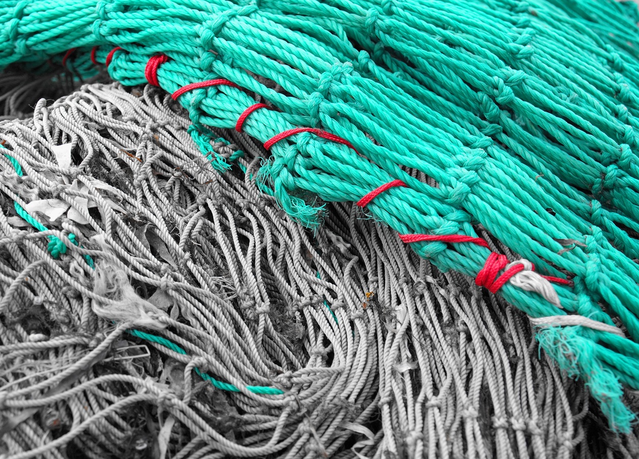 Fishing ropes 