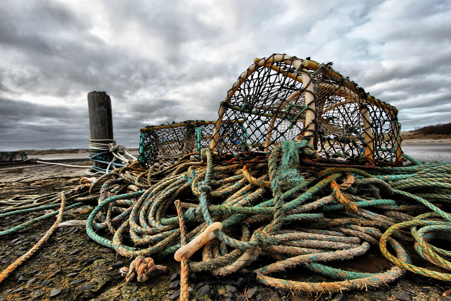 Crab and lobster traps