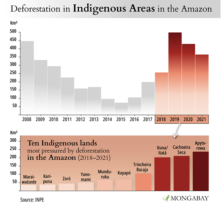 Deforestation in Indigenous territories in the Amazon