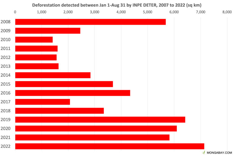 Deforestation between Jan 1 and Aug 31 2008-2022, according to INPE's DETER system.