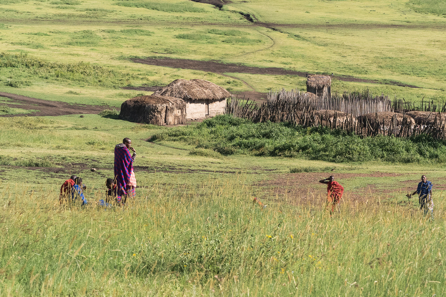 A Maasai settlement in Tanzania. 