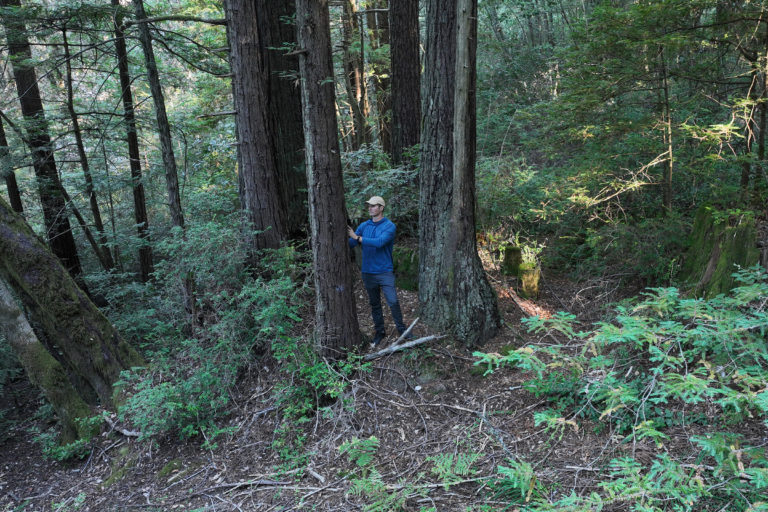Butler in a redwood forest near his home in California. Photo credit: Mongabay