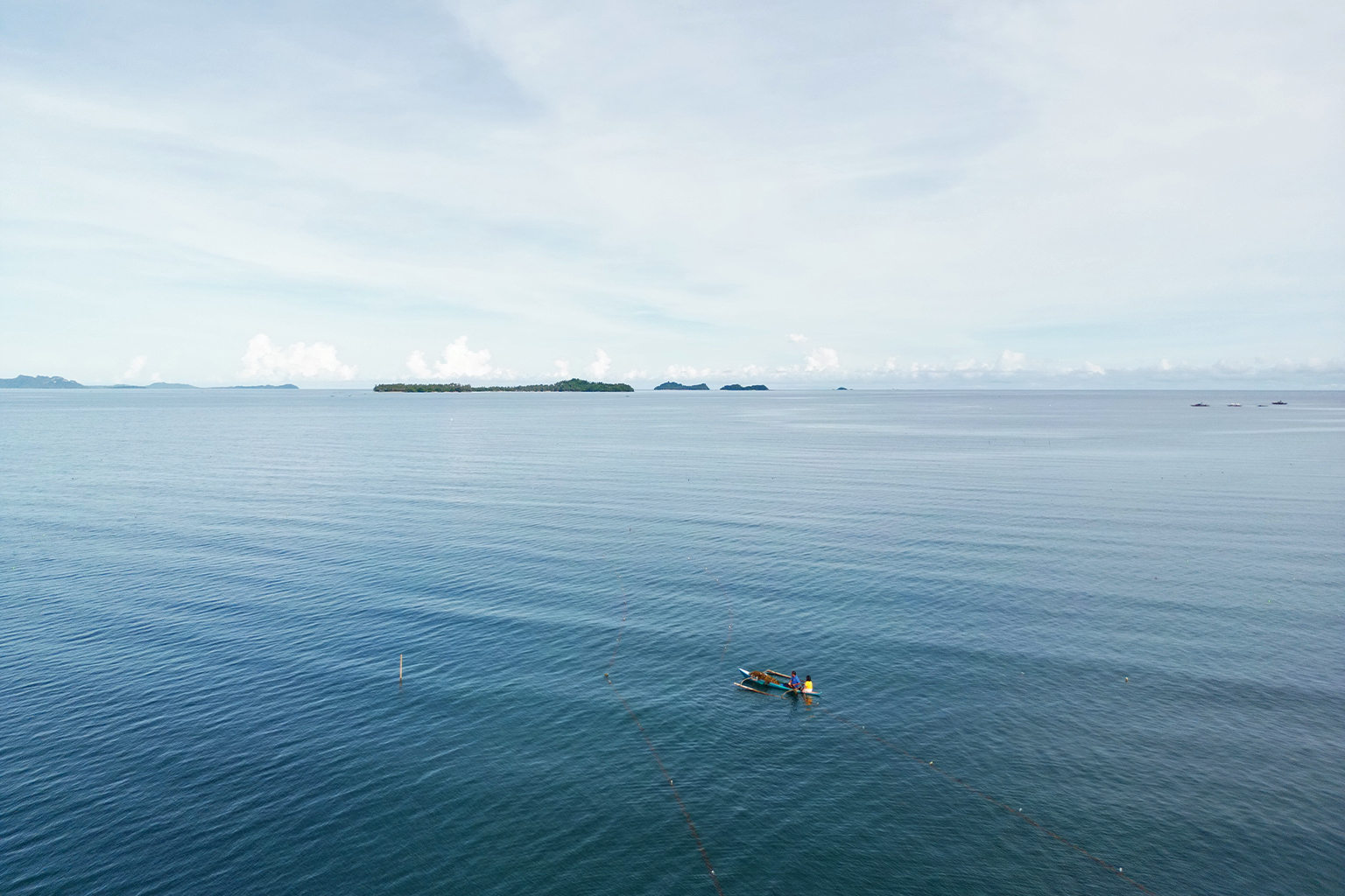 The Gimotea couple drops seaweed lines in their 2,500-square meter (0.62-acre) farm
