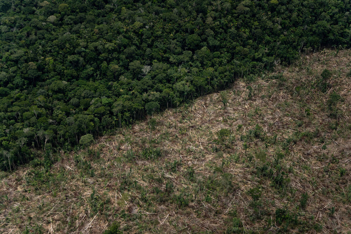 Overflight image of deforestation in the Amazon.