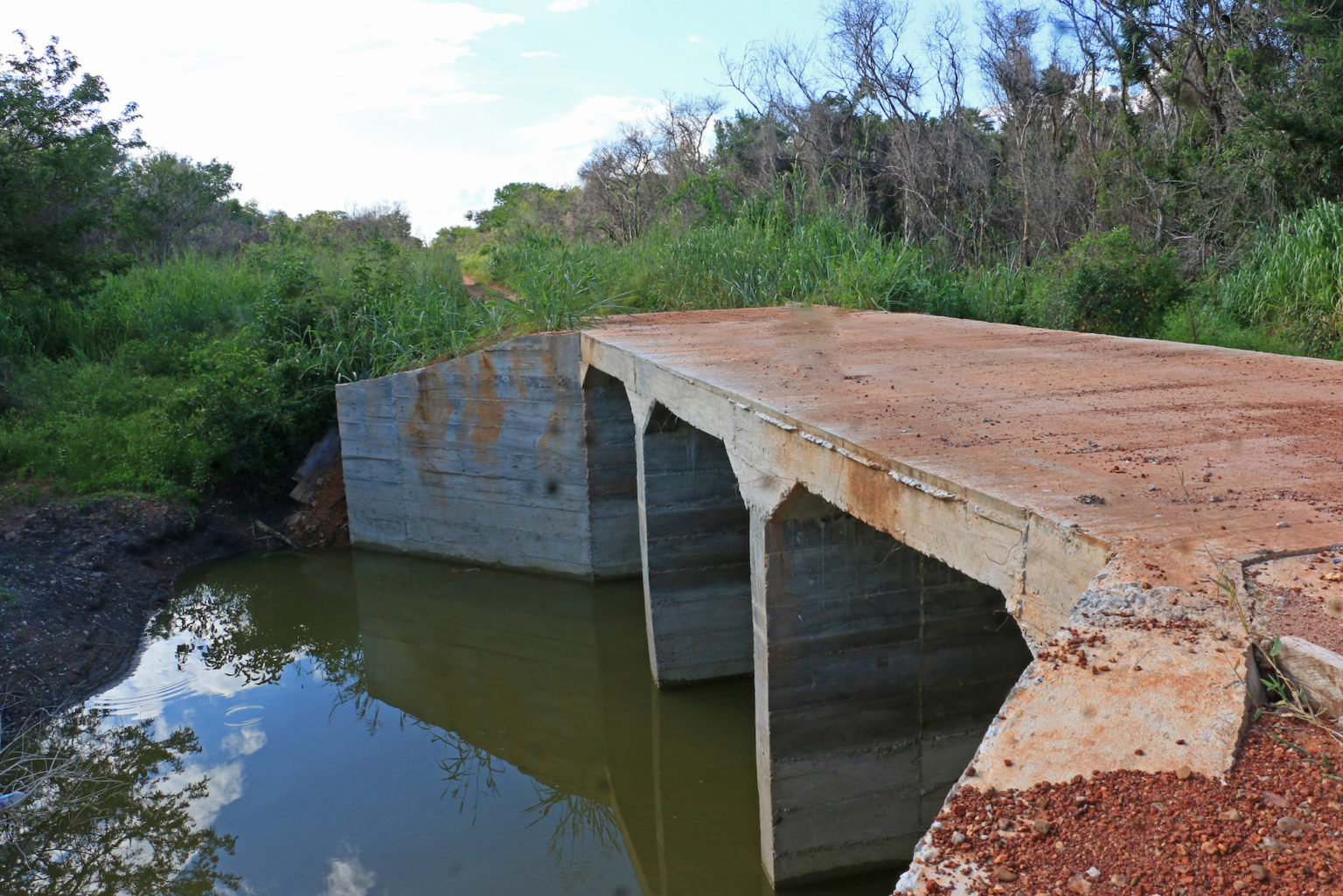 A small bridge built in eastern Ñembi Guasu. Image by Fernando Portugal.
