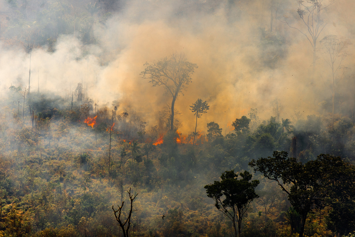 Deforestation and fire in the forests of Pará.