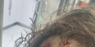 Farm attack Lammermoor Mudersdrift, what really happened, I was there
