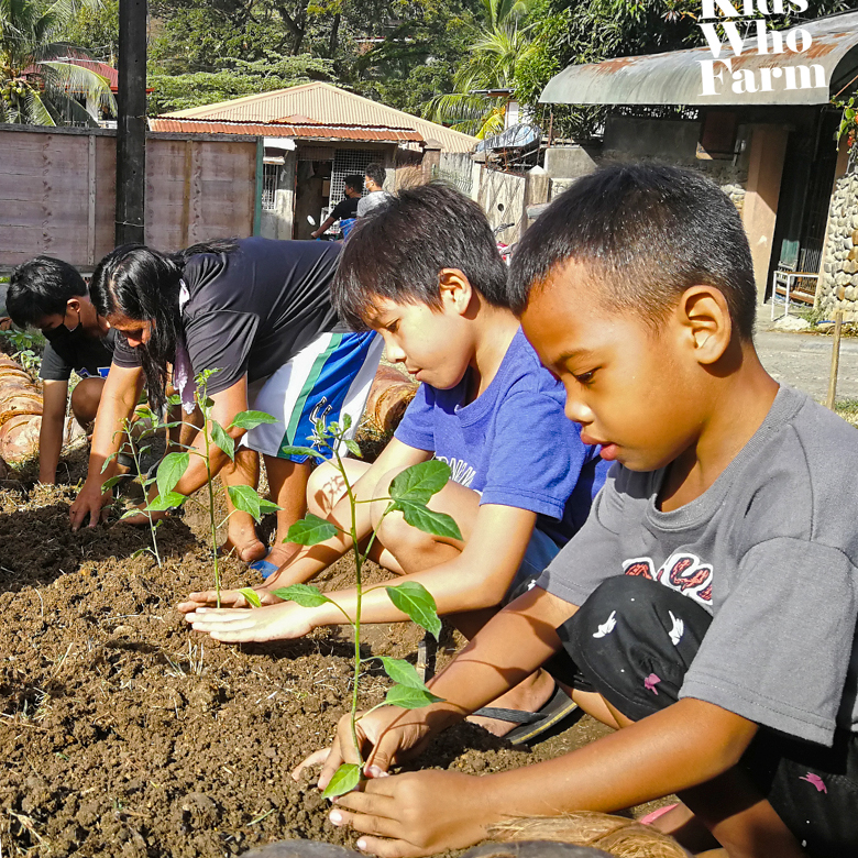 Students learning to farm.
