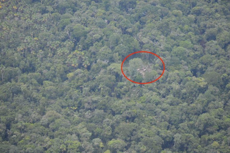 Evidence of a maloca (traditional house) seen in the area of the Napo Tigre. Image by Amazon Sacred Headwaters.