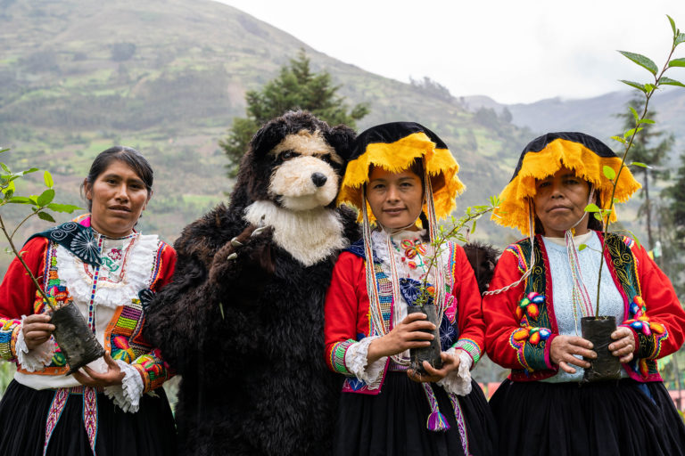Ruthmery Pillco (center), the leading scientist, National Geographic Explorer and native from Cusco, celebrates the season for planting trees, in the “Ukukuq Queuñan raimy” party (party of the bear and the Polylepis tree) with the Challabamba community members, local authorities, her research team. “Bromelio”, a bear character in the party. Photo: Rosio Vega. 