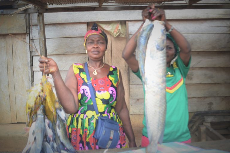 Fishmongers in the Ndji village marketplace don’t need much to get by. Image by Yannick Kenné.