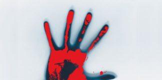 Series of farm attacks and farm murders in South Africa – ‘Step up your security’