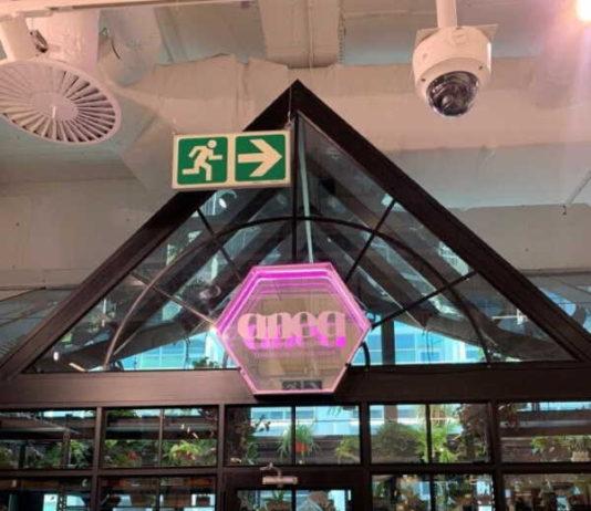 First functional greenhouse launches inside a mall in South Africa