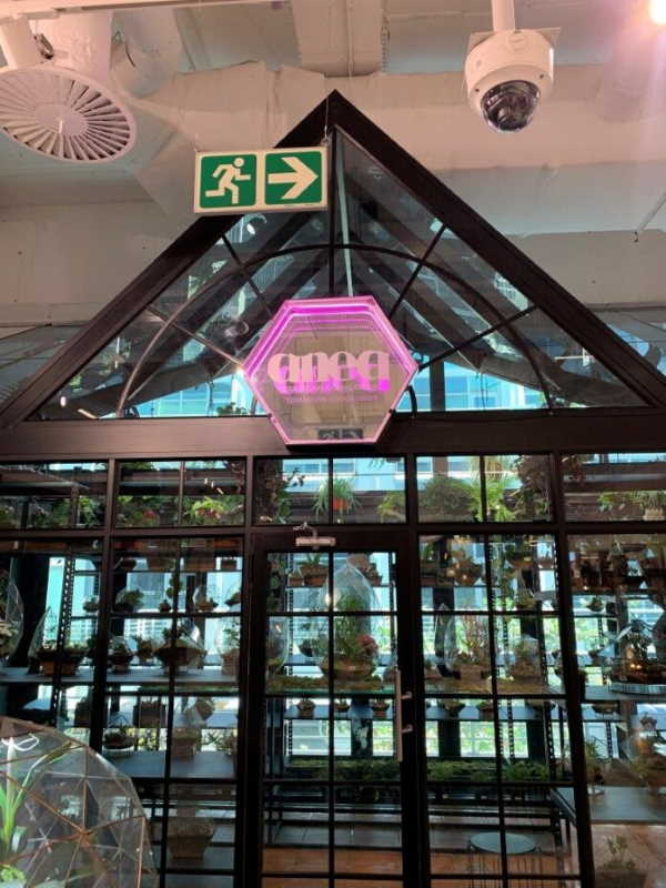 First functional greenhouse launches inside a mall in South Africa