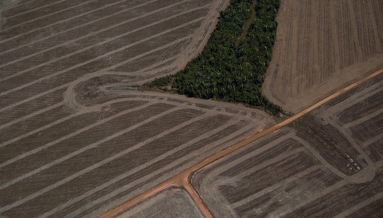 An aerial shot of a deforested area
