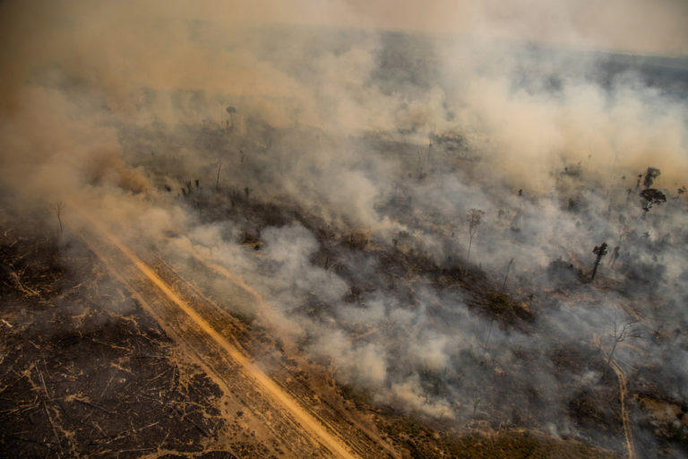 Forest fire in the Jaci-Paraná Extractive Reserve.