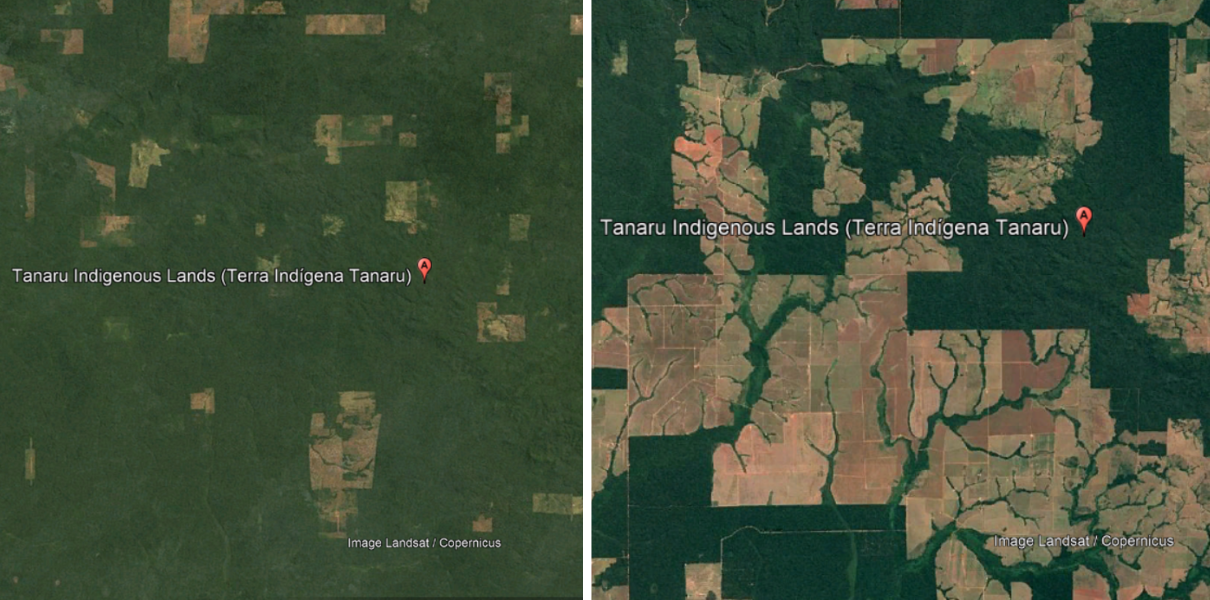 Satellite images reveal the extent of deforestation around the Tanaru Indigenous reserve.
