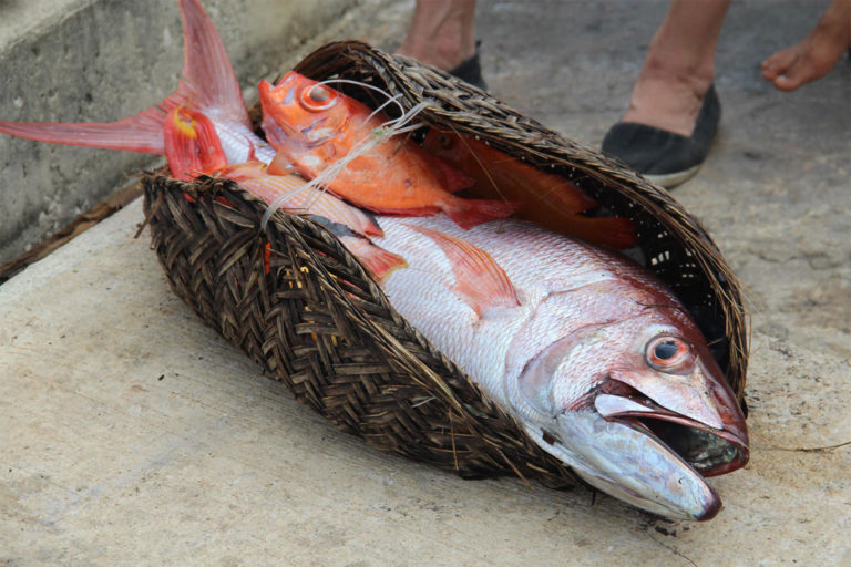 Fish in a basket.